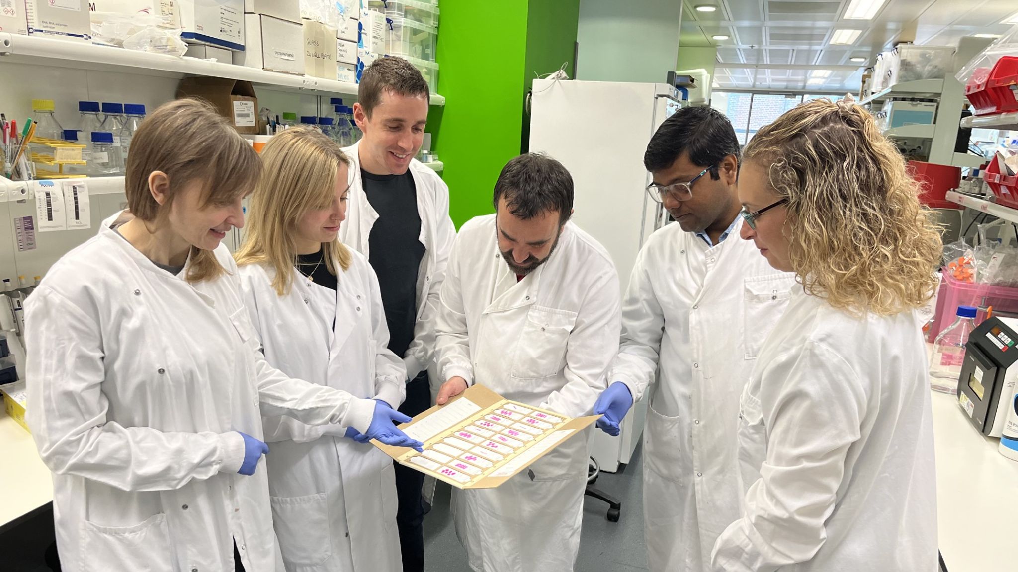 Breakthrough in CMN Research